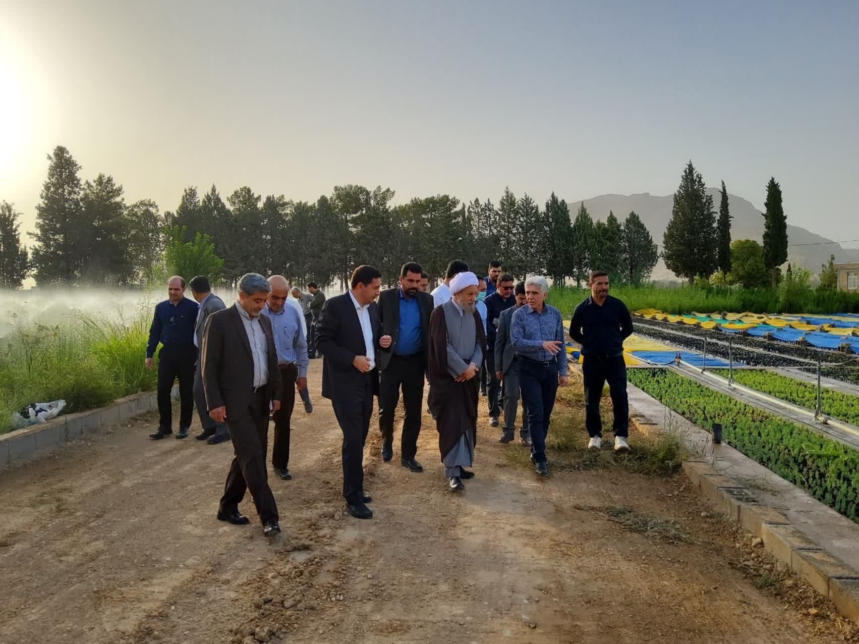 قدردانی امام جمعه شیراز از طرح مردمی کاشت یک میلیارد درخت