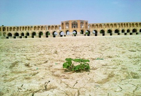 درختان حاشیه زاینده‌رود دچار خزان زودرس شده‌اند