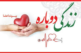 استان ها