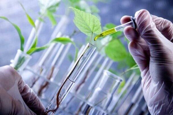 هوش مصنوعی به کمک متخصصان برای ایمن سازی غذا و دارو می‌آید