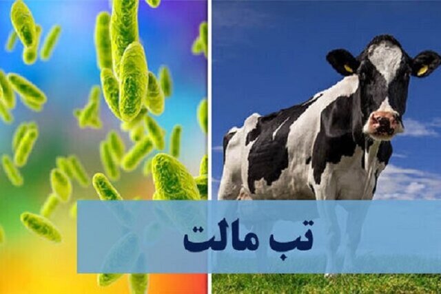بیماری هزار چهره ای که در خراسان شمالی جا خوش کرده است